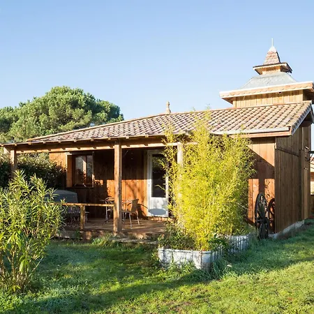 Cosy Yucca Appartement
